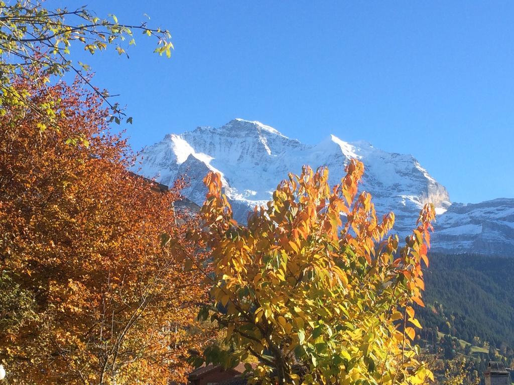 Chalet Protea Wengen Cameră foto