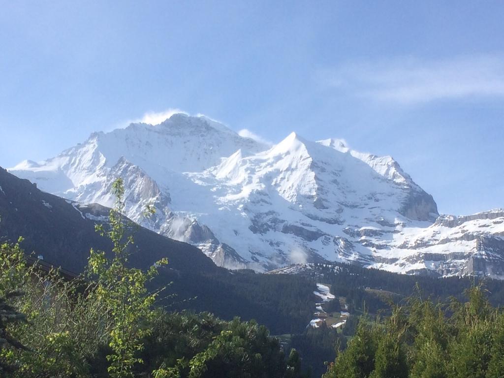Chalet Protea Wengen Cameră foto